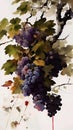 Grape watercolour illustration grapes painting fruit art wine wine leafs