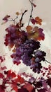 Grape watercolour illustration grapes painting fruit art wine wine leafs