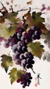 Grape watercolour illustration grapes painting fruit art wine wine leafs