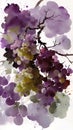 Grape watercolour illustration grapes painting fruit art wine wine leafs