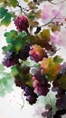 Grape watercolour illustration grapes painting fruit art wine wine leafs