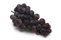 Grape on white background : food image