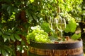 Grape and white wine on wooden barrel Royalty Free Stock Photo