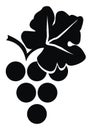 Grape wine, black silhouette, vector icon