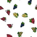 grape wine bunch fruit green vector seamless pattern Royalty Free Stock Photo