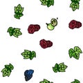 grape wine bunch fruit green vector seamless pattern Royalty Free Stock Photo
