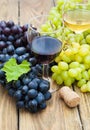 Grape wine Royalty Free Stock Photo