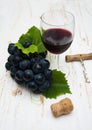 Grape wine Royalty Free Stock Photo