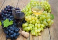 Grape wine Royalty Free Stock Photo