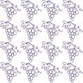 Grape wine seamless pattern Royalty Free Stock Photo