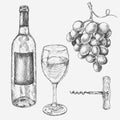 Grape wine set. Vector illustration with wine glass, grapes, bottle. Hand drawn alcoholic drink sketch