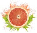 Grapefruit