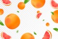 Grapefruit background. Flying grapefruit with green leaf on transparent background. Citrus falling from different angles. Focused