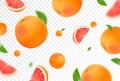 Grapefruit background. Flying grapefruit with green leaf on transparent background. Citrus falling from different angles. Focused