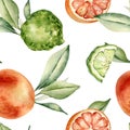 Grapefruit and bergamot citrus fruits with leaves watercolor seamless pattern isolated. Hand drawn summer plants with Royalty Free Stock Photo