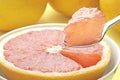 Grapefruit Bite Royalty Free Stock Photo