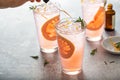 Grapefruit cocktail with rosemary with bitters Royalty Free Stock Photo