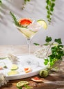 Grapefruit and cucumber, rosemary and lime cocktail, refreshing, cold drinks with ice on a rustic table. Summer garden party, Royalty Free Stock Photo