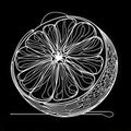 A grapefruit is depicted in a black and white illustration, showcasing a spiral pattern and a leaf positioned at the upper part.
