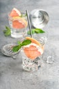 Grapefruit drink ice mint leaves Cocktail tonic water Bar tools