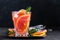 Grapefruit and fresh rosemary gin cocktail with juice, cold summer citrus refreshing drink or beverage with ice