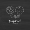 Grapefruit fruit drawing. Sketch of grapefruits with chalk on blackboard. Vector illustration
