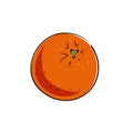 Grapefruit hand drawn on white isolated backdrop. Citrus fruit for gift card, healthy food shop logo, bath tile, juice pack. Phone