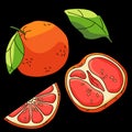 Grapefruit icon set on black backdrop stock vector illustration Royalty Free Stock Photo