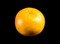 Grapefruit isolated on a black background Royalty Free Stock Photo