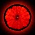 Grapefruit isolated on black background Royalty Free Stock Photo