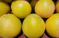 Grapefruit juicy fresh citrusfruit nutritious and beneficial citrus fruit food closeup view image photo