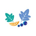 grapefruit leaf design concept icon vector illustration