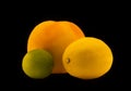 Grapefruit, lemon, lime isolated on black background. Royalty Free Stock Photo