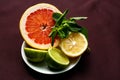 Grapefruit lemon and lime with mint on the table, citrus fruits Royalty Free Stock Photo