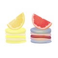 Grapefruit and lemon macaroons. Vector traditional french cookies in cartoon style. Composition of grapefruit, lemon and macaroon