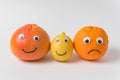 Grapefruit, lemon and orange with funny faces on white background. optimist and pessimist concept Royalty Free Stock Photo