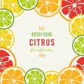 Grapefruit, lime, lemon and orange vector background