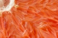 Grapefruit macro Royalty Free Stock Photo