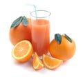 Grapefruit and orange and juice glass Royalty Free Stock Photo
