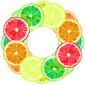 Grapefruit, orange, lime and lemon, round double frame for greeting card or banner design