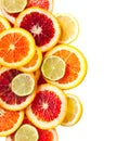 Grapefruit, orange, lime and lemon slices
