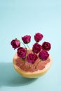 Grapefruit and red roses Royalty Free Stock Photo