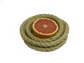 Grapefruit in rope ring