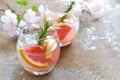Grapefruit and rosemary drink Royalty Free Stock Photo