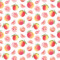 Grapefruit seamless pattern. Watercolor elements isolated on white background Royalty Free Stock Photo