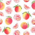 Grapefruit seamless pattern. Watercolor elements isolated on white background Royalty Free Stock Photo