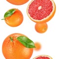 Grapefruit seamless texture or pattern