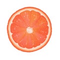 Grapefruit Segment Royalty Free Stock Photo