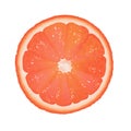 Grapefruit Segment