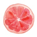 Grapefruit